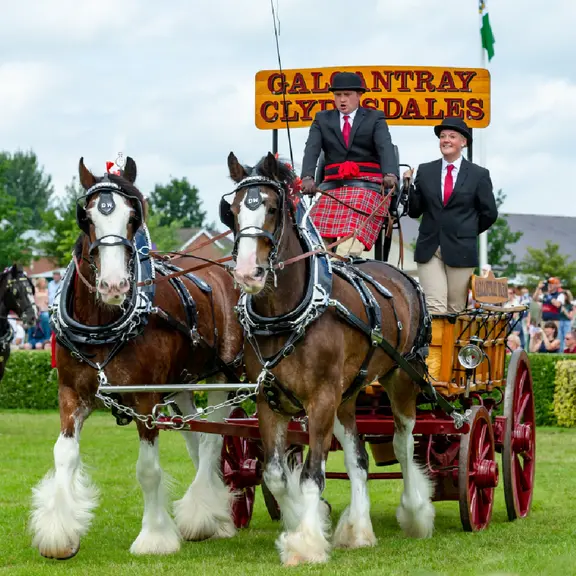 The Heritage Farmyard